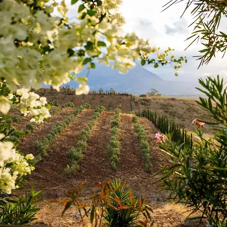 Masseria Del Piano Hotel 3*